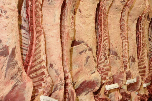 feedlot